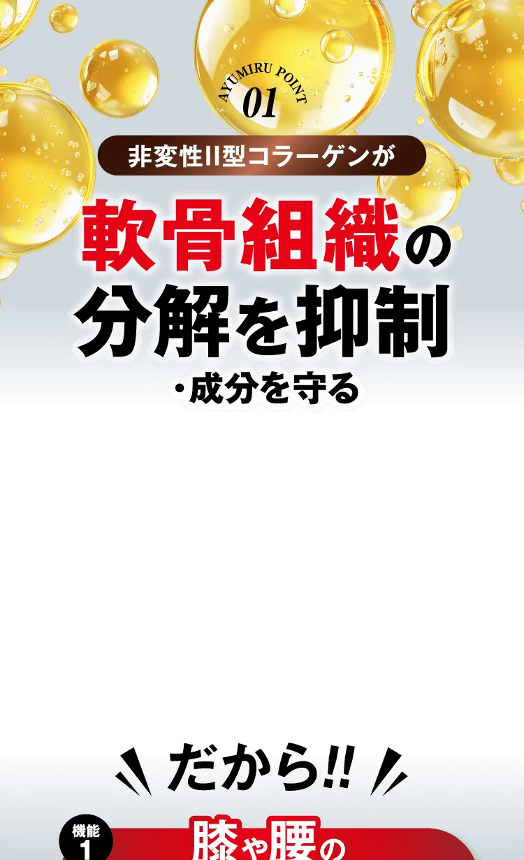 軟骨組織の分解を抑制