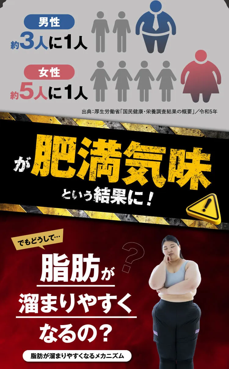 肥満気味