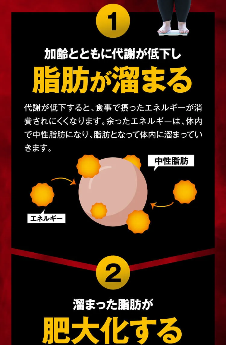 ①脂肪が溜まる②半分