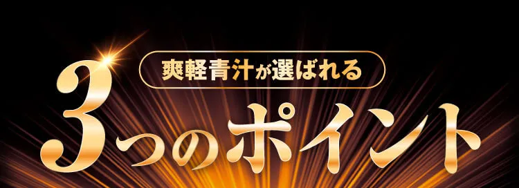 3つのポイント