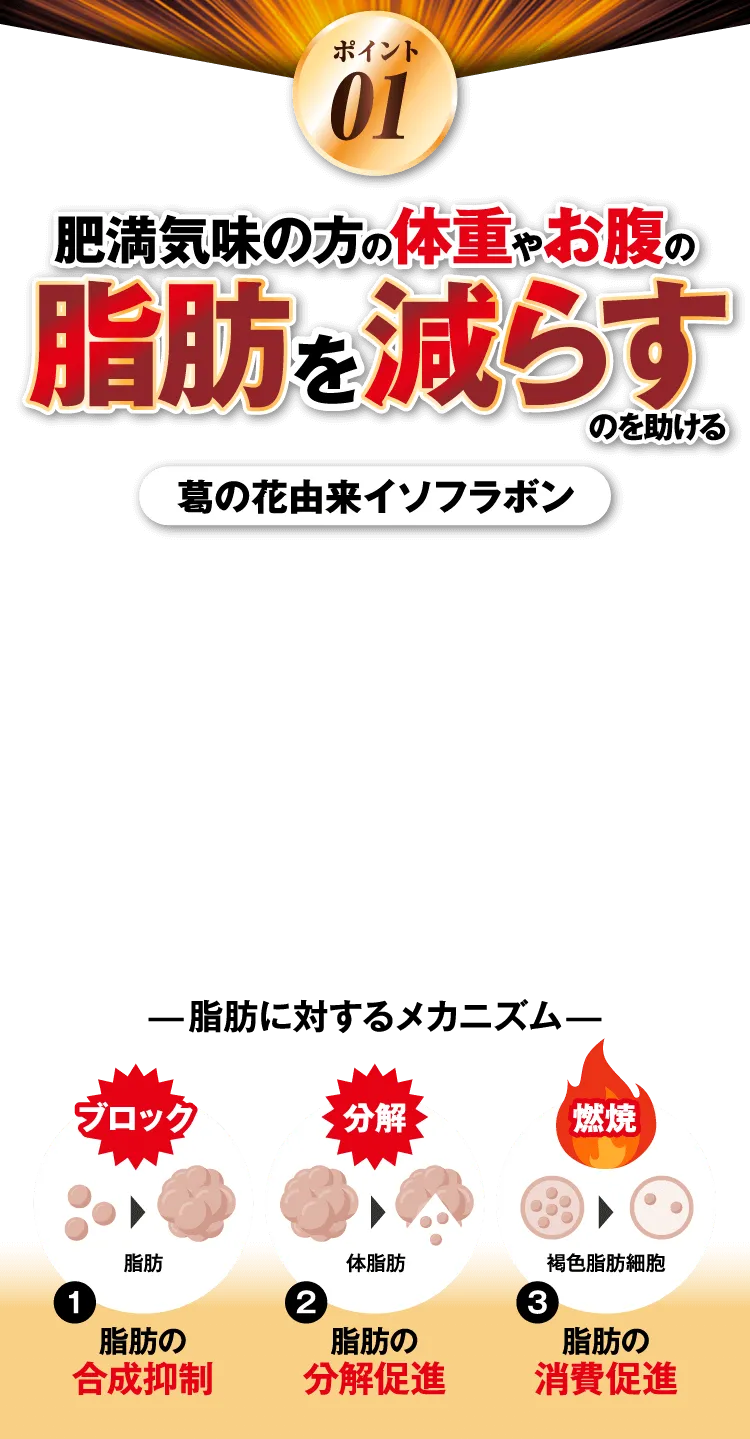 肥満気味の脂肪を減らす
