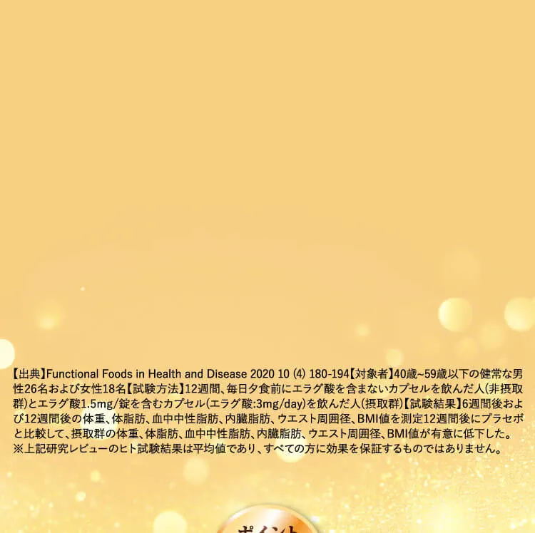 SR部分