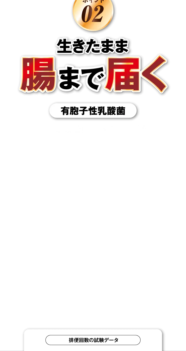 肥満気味の脂肪を減らす
