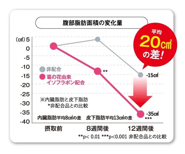 腹部脂肪面積の変化量
