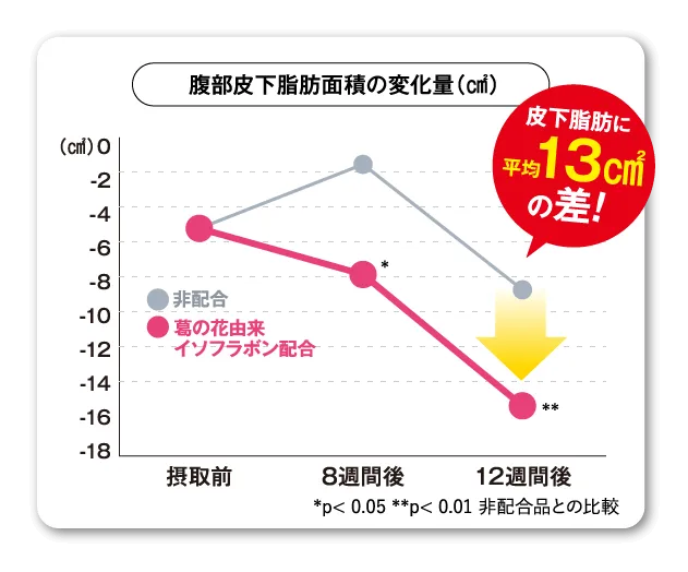 腹部脂肪面積の変化量3