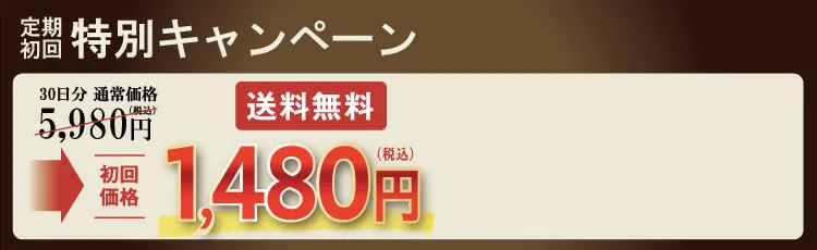 “帯の画像“