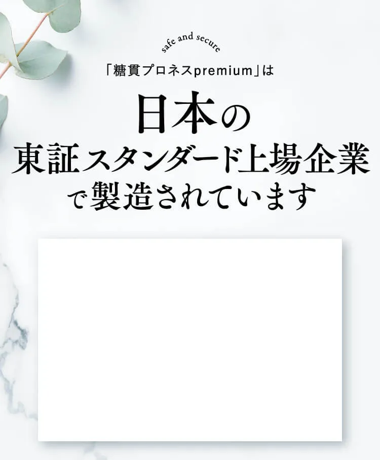 日本の東証スタンダード上場企業で製造されています