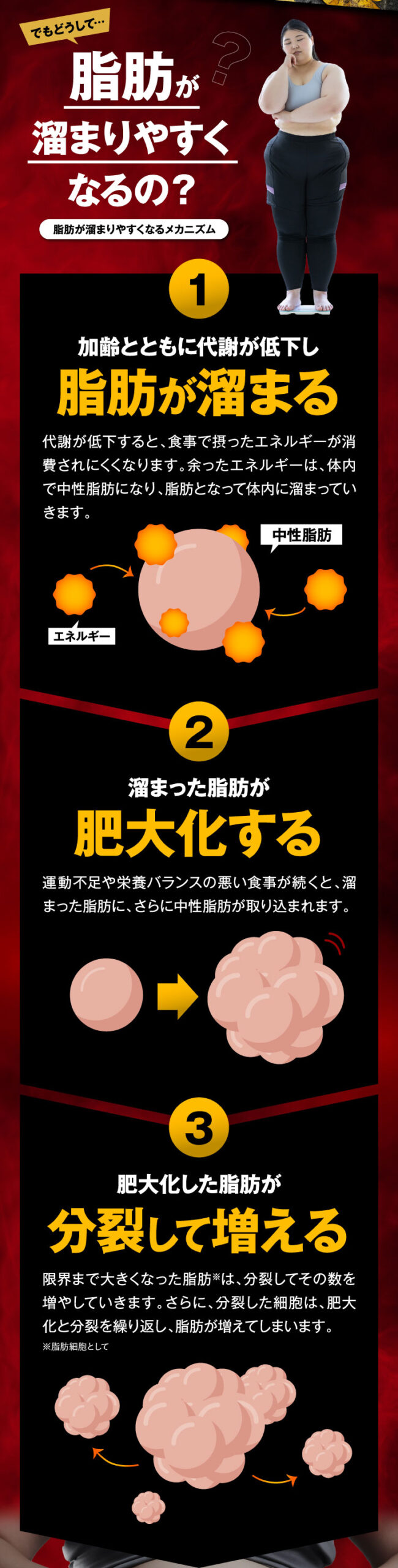 03-03